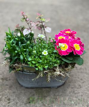Vintage trough with a pink theme