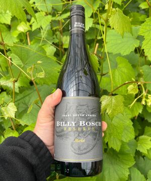 Bottle of Red Wine