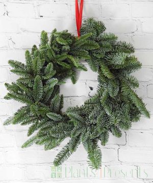 Natural Spruce Wreath