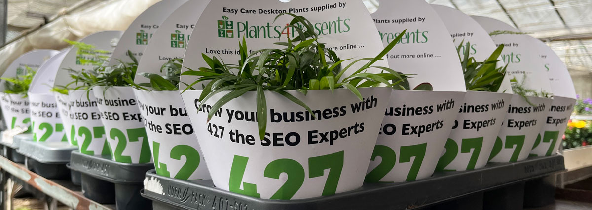 427 Marketing plants