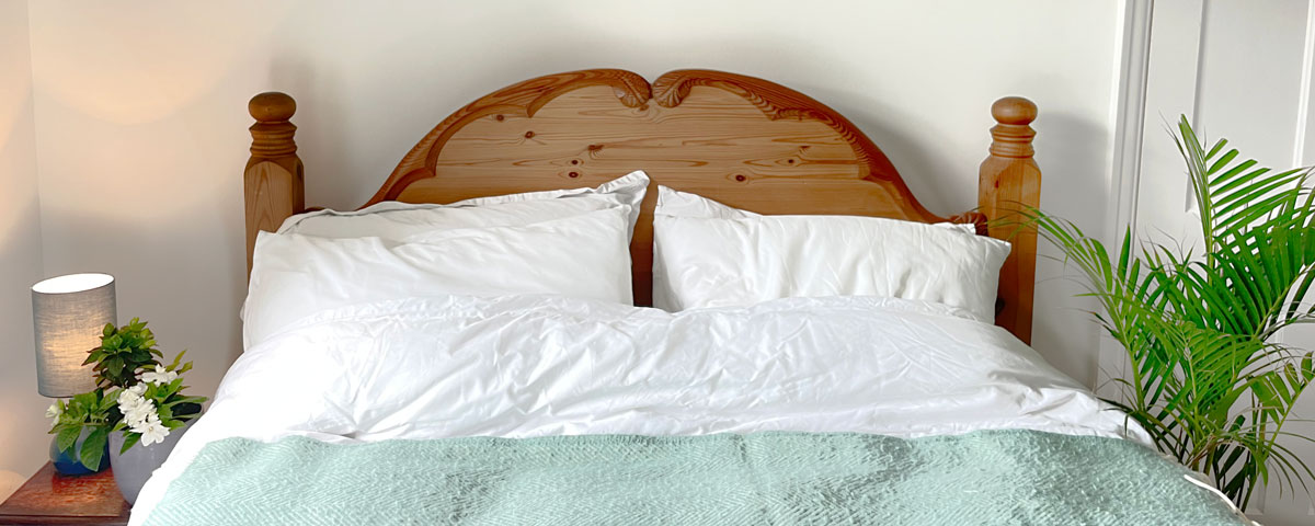 two houseplants in a bedroom