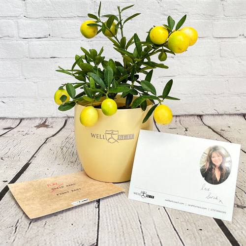 Potted citrus tree with branded fliers and logoed pot