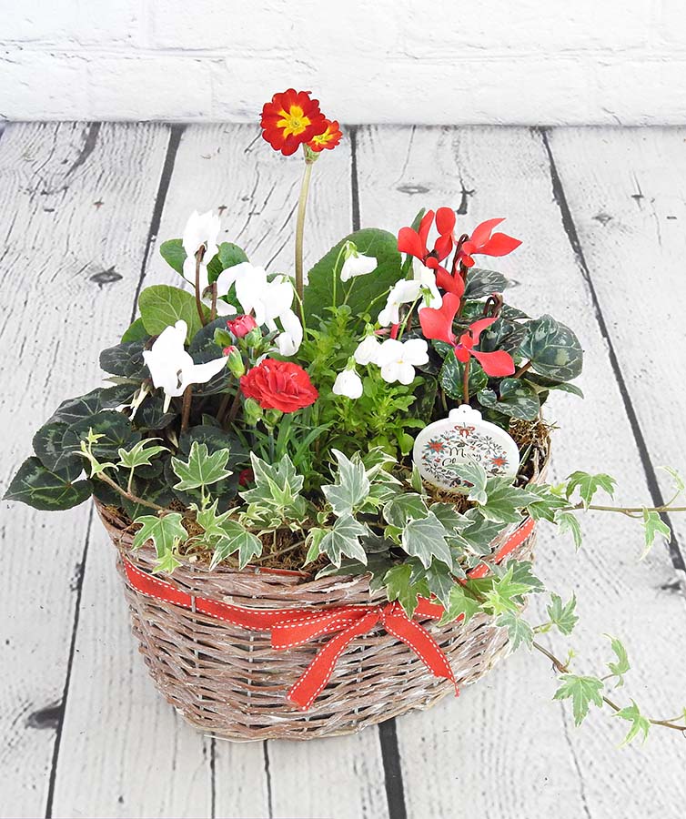 planter basket with red and white flowers