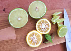 bergamot and finger lime fruits