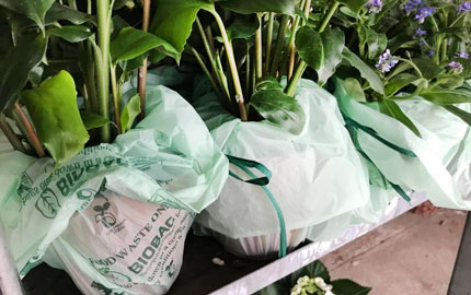 Biodegradable bags replaced plastic in 2018