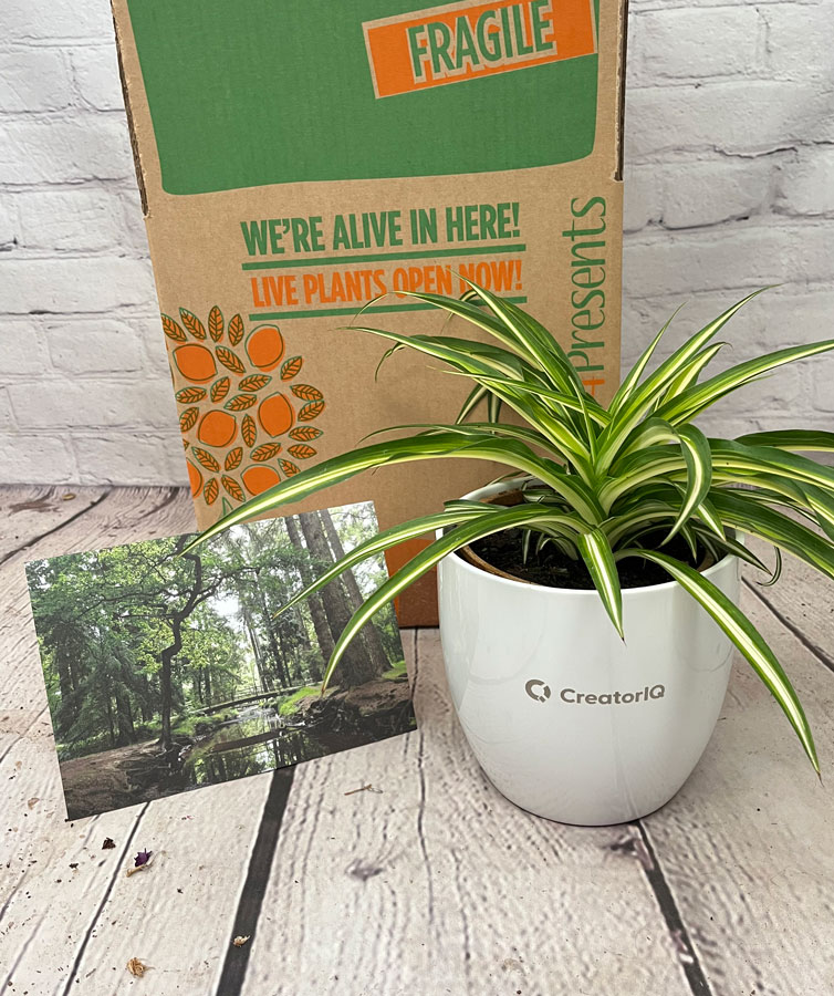 branded plant pot