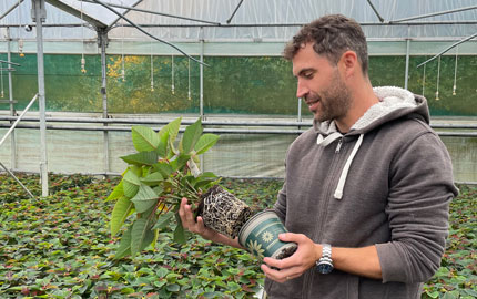 Adam Eastwood demonstrating root growth
