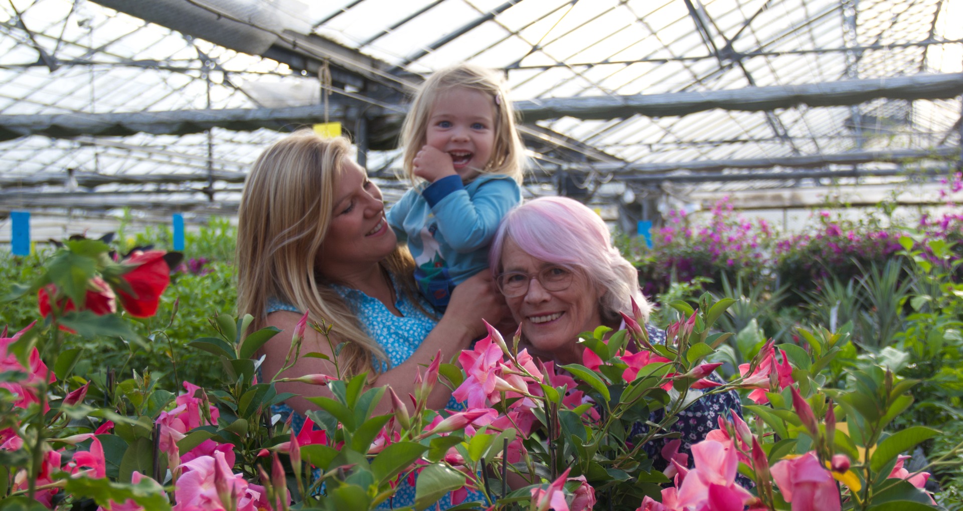 Emily, Lucy and Isobel Rae at the Plants4Presents nursery