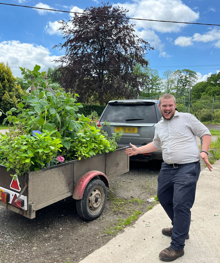 Will collecting plants