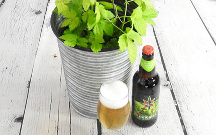 Grow your own Hops gift set