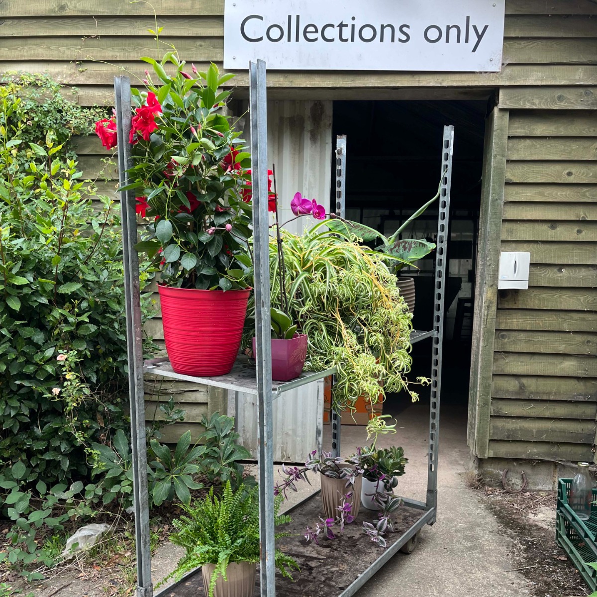 trolley of plants