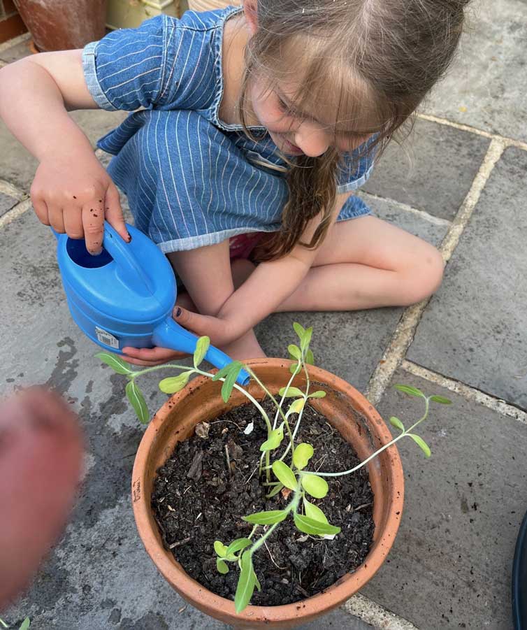 sowing seeds