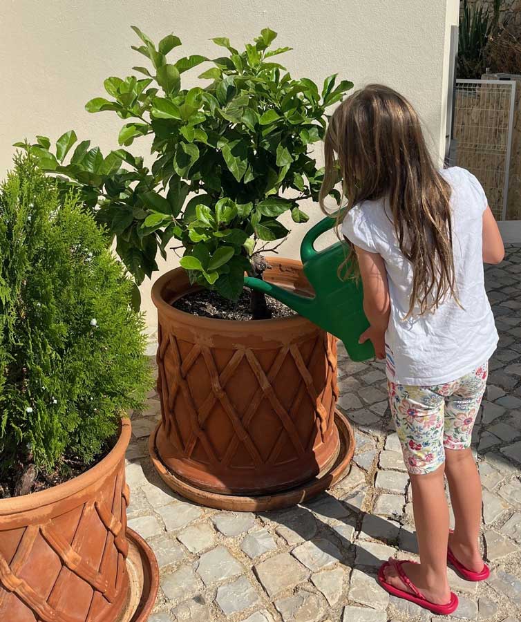 Watering citrus
