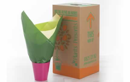 Plants4Presents Packaging