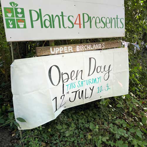 open day 12th July
