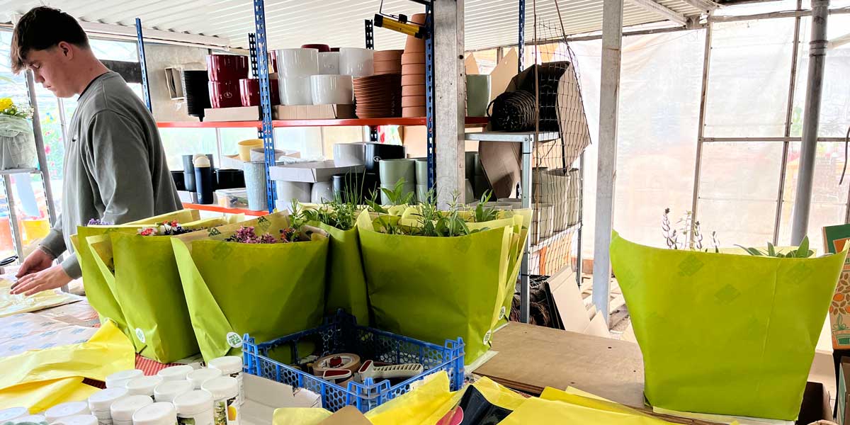 packing line