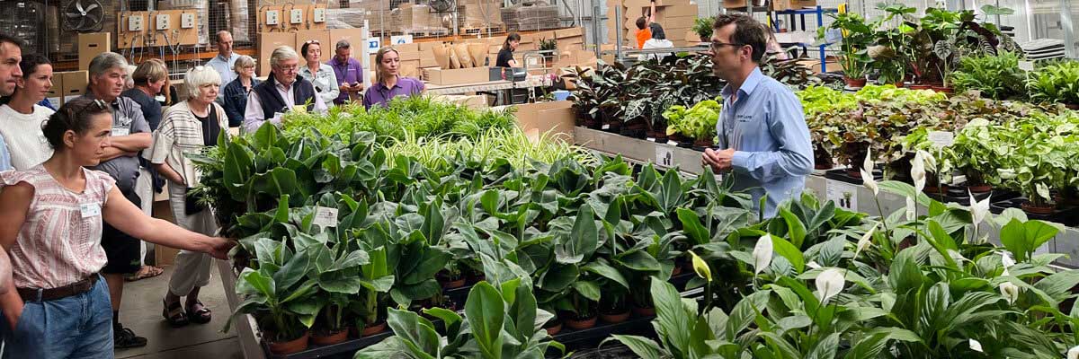 British Nurseries leading the way with Peat Free Production