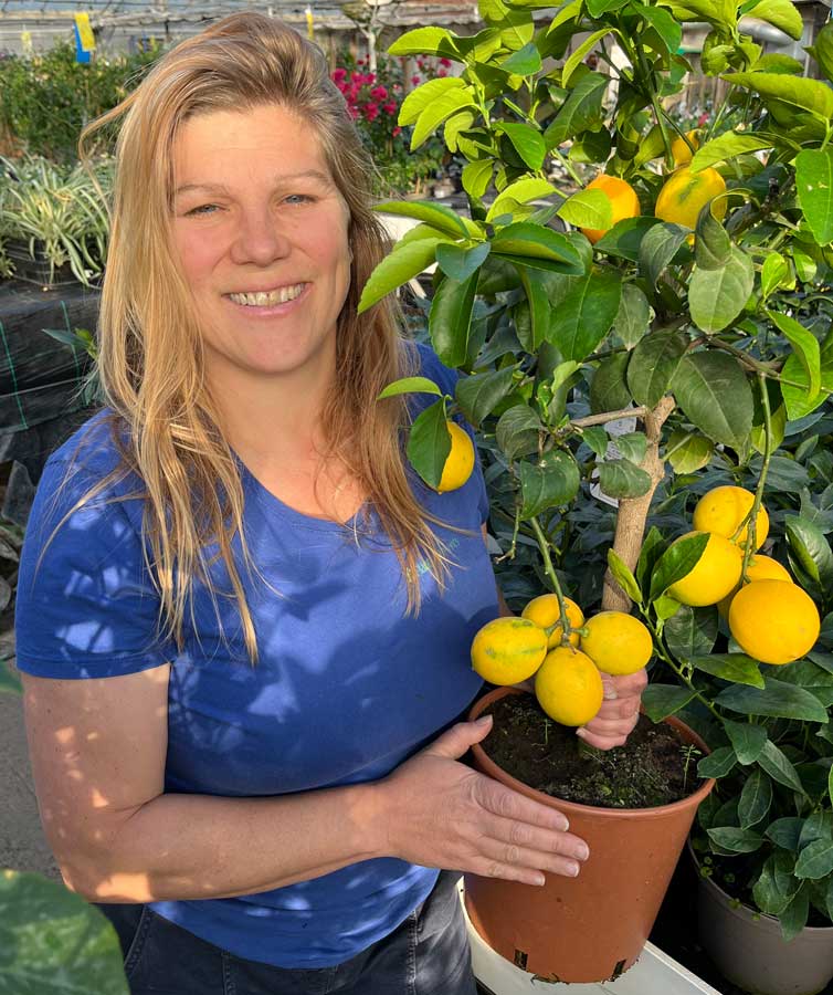 Picking plants