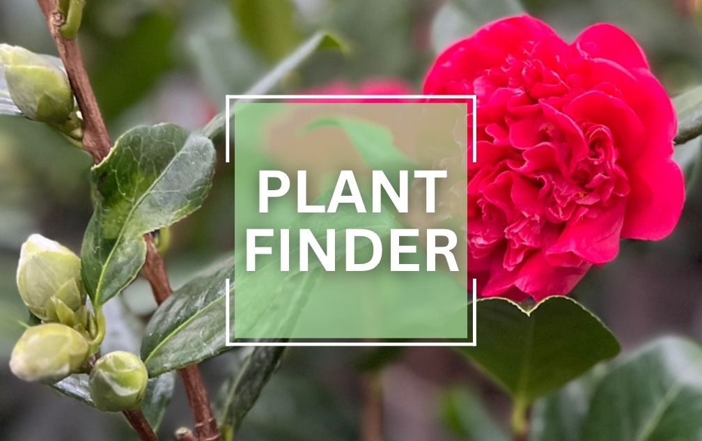 Plant finder tool