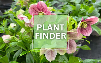 plantfinder tool