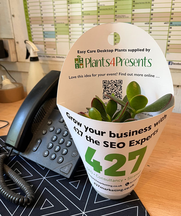 promotional plant sleeve