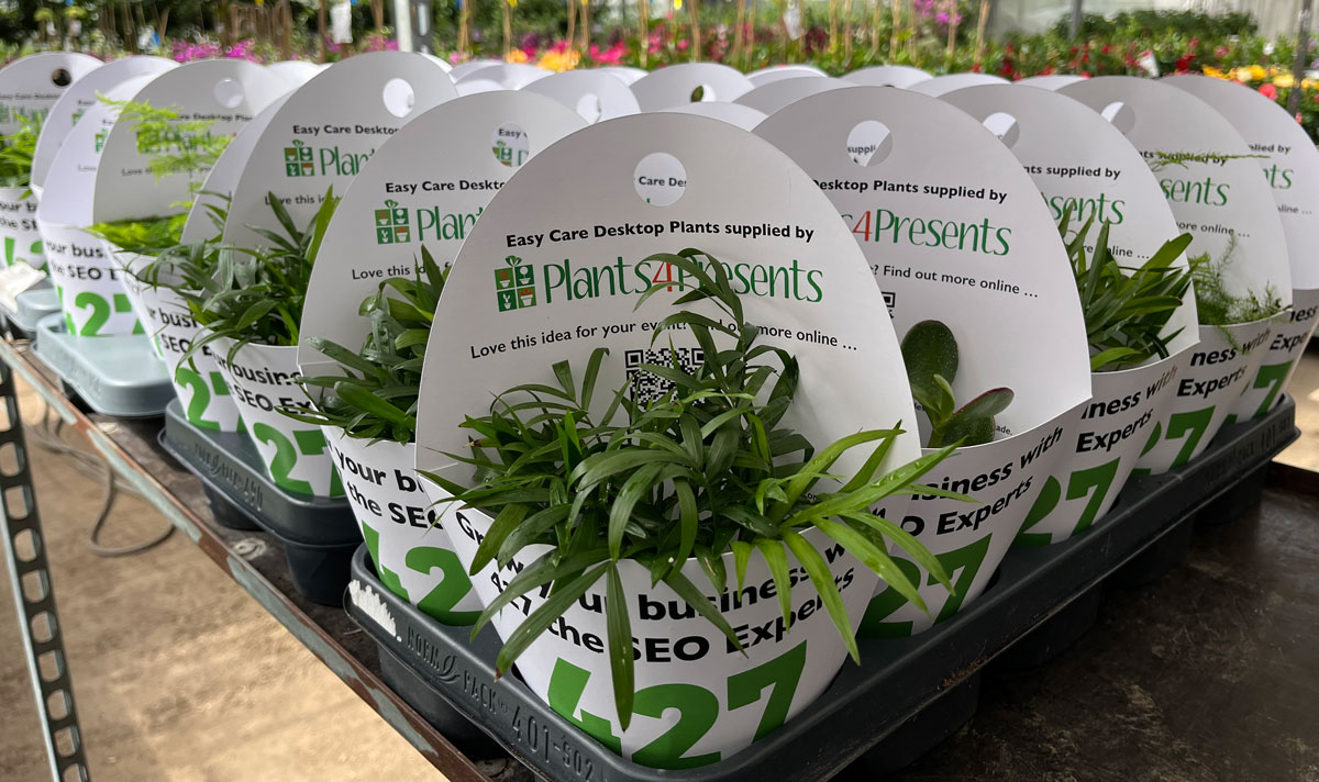 Promotional plant sleeves