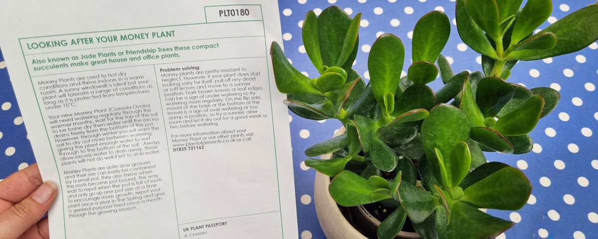 Reading about your plant