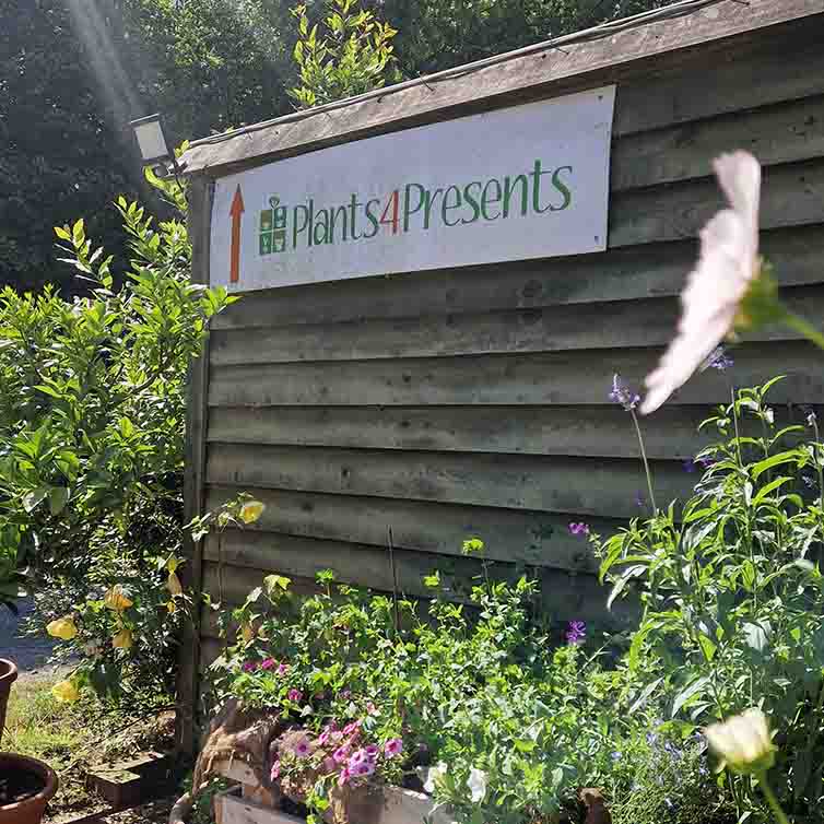 picture of the nursery sign