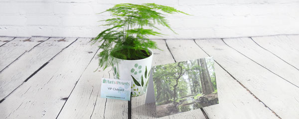 Join our VIP club and claim your discount card and free desktop plant