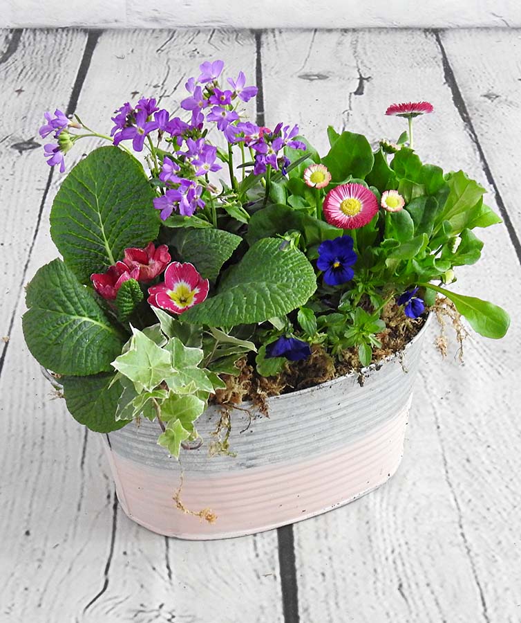 pink and metal planter with flowering plants