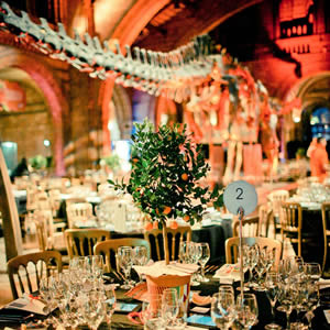 Citrus table decorations at the natural history museum