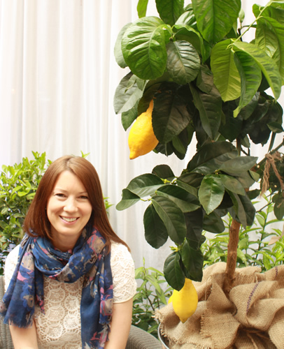 Large Lemon Tree with Kerenza