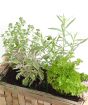 Basket of herbs from above