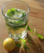 grow your own mojitos