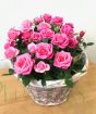 Pink roses in basket