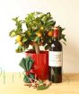 Ultimate mulled wine giftset