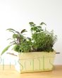 Herb Planter with a selection of seasonal herbs