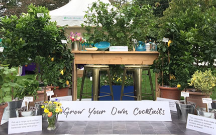 GYO Cocktails at Wisley Flower Show