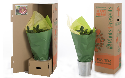 We quality plants gifts across the UK